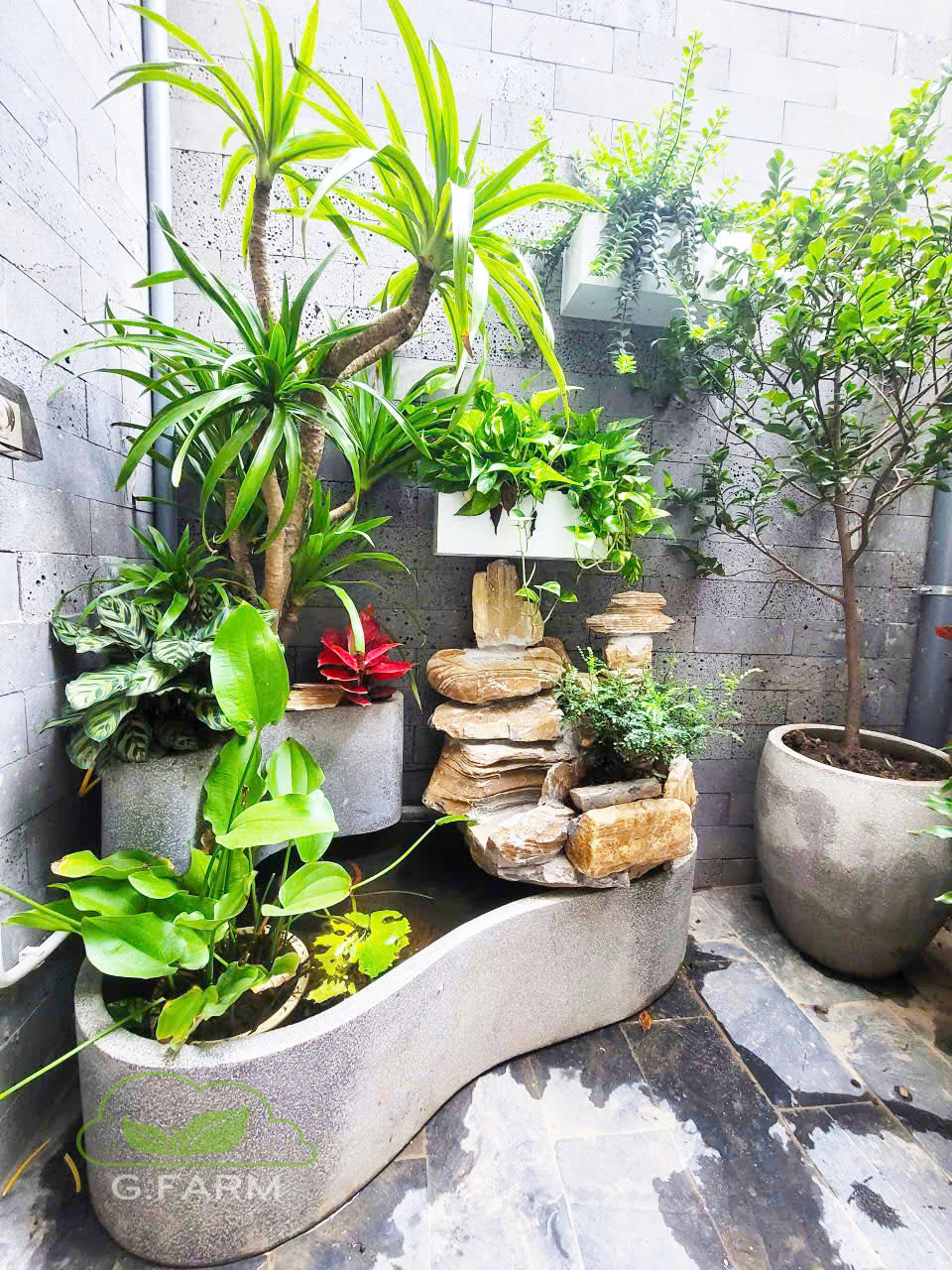 Dự án tiểu cảnh vườn nhà phố Long Biên 